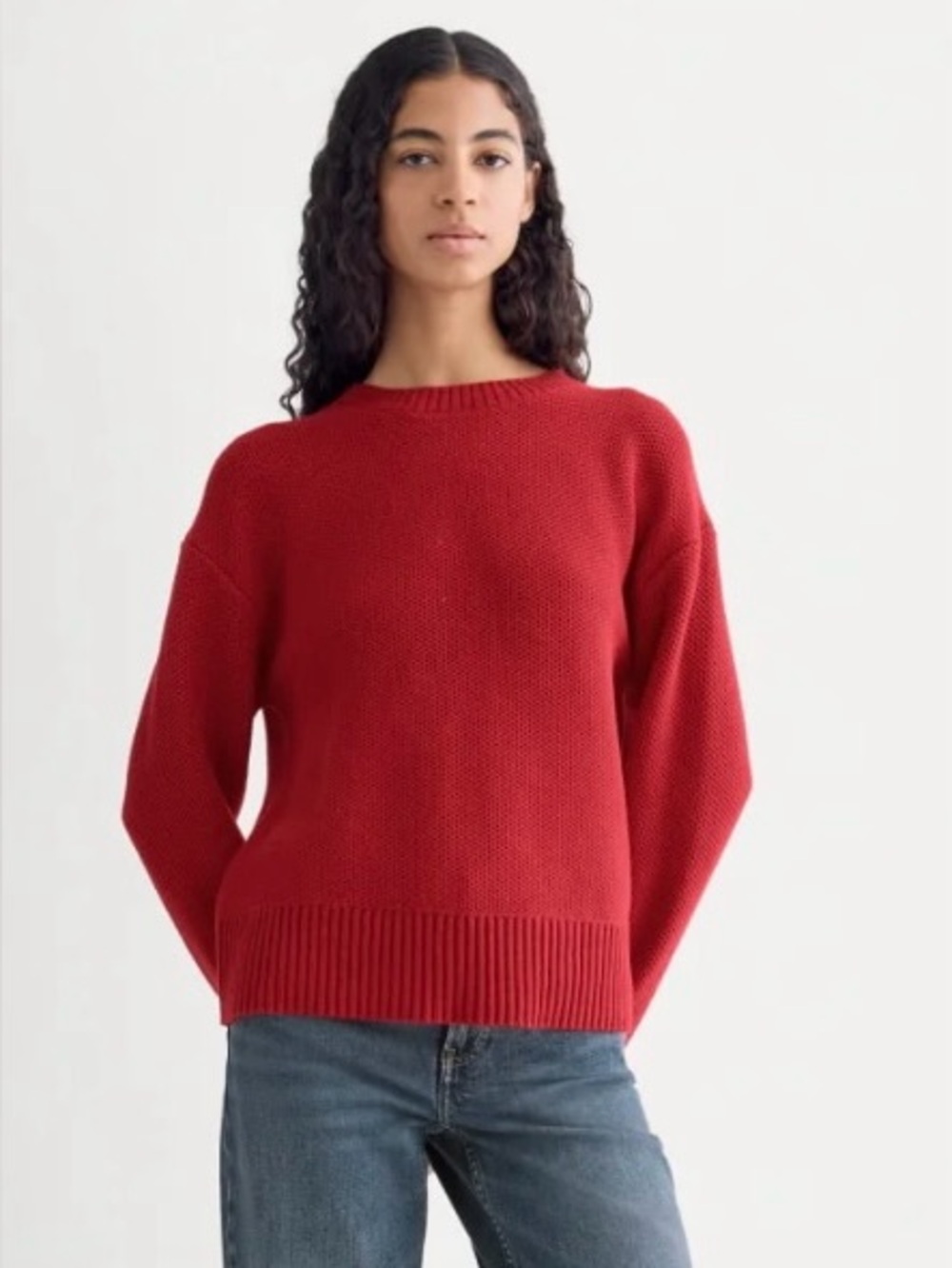 Everlane Red Crewneck Knit Sweater